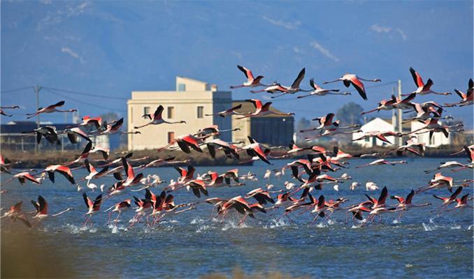 엘 포블레 노우 델 델타 Lo Trabucador Casa Nueva En El Corazon Del Delta 빌라 외부 사진